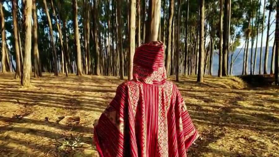 Archaeological Centers+Picnic in the Qenqo Eucalyptus Forest - Practical details: what to expect and what to bring