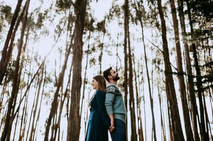 Archaeological Centers+Picnic in the Qenqo Eucalyptus Forest - Exploring Cusco’s archaeological and cultural treasures