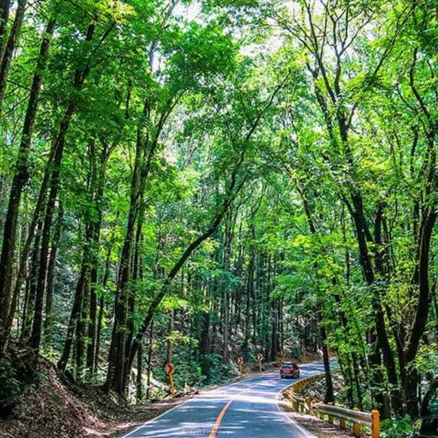 Bohol Choco Tour with Loboc River Lunch (Shared Tour) - Who Is This Tour Best For?