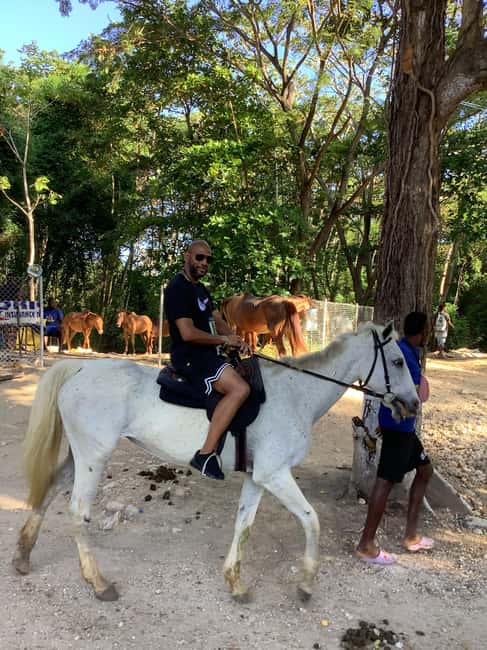 Montego Bay: Horseback Riding and Dunn's River Falls Tour - What to Expect and Practical Tips