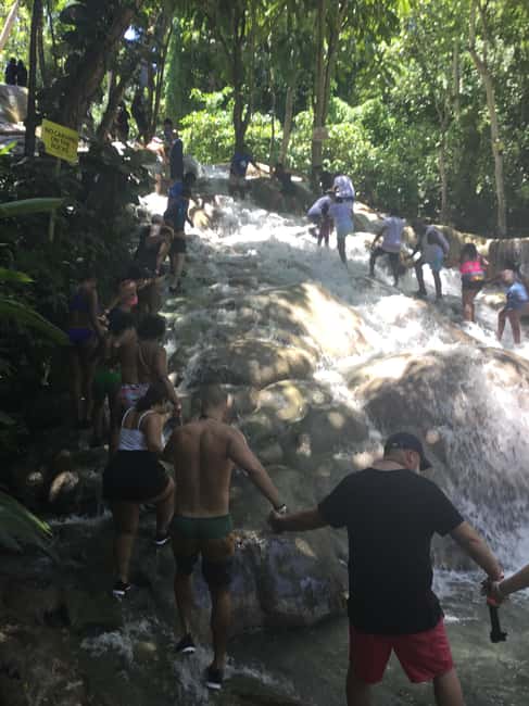 Montego Bay: Horseback Riding and Dunn's River Falls Tour - Authentic Insights from Travelers