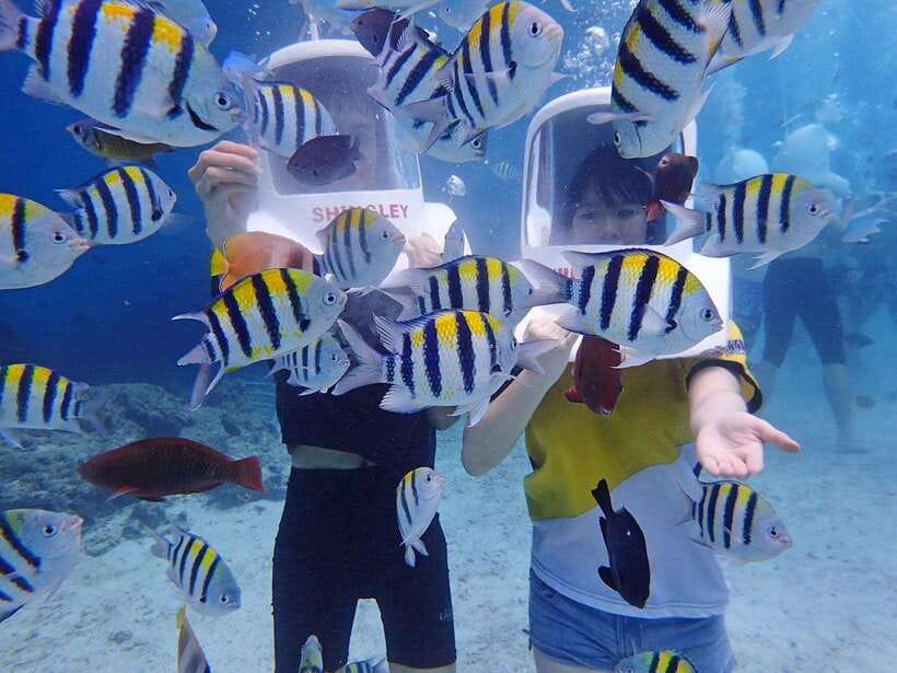 Boracay: Aquanaut Adventure with Photos and Videos - Highlights and Benefits