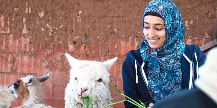 Cusco: Chinchero, Moray, Ollantaytambo and Pisac - Key Points