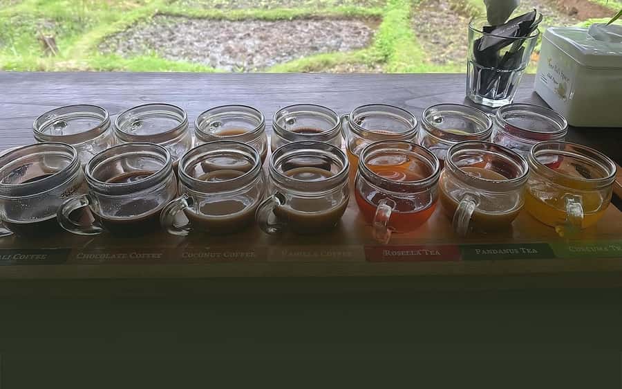 Ubud: Art, Culture, Nature, and Heritage Tour - The Sum Up