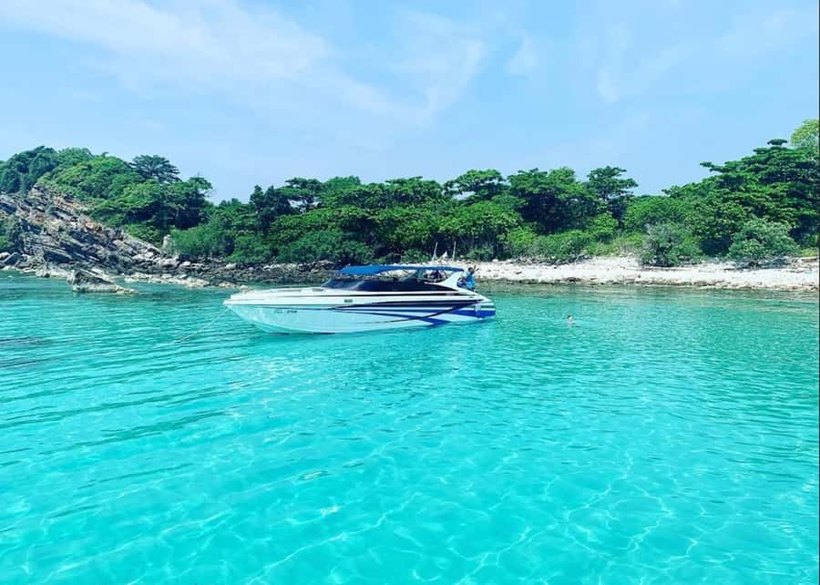 Ko Samui: Pig Island Snorkeling and Koh Tan Speedboat Tour - Good To Know