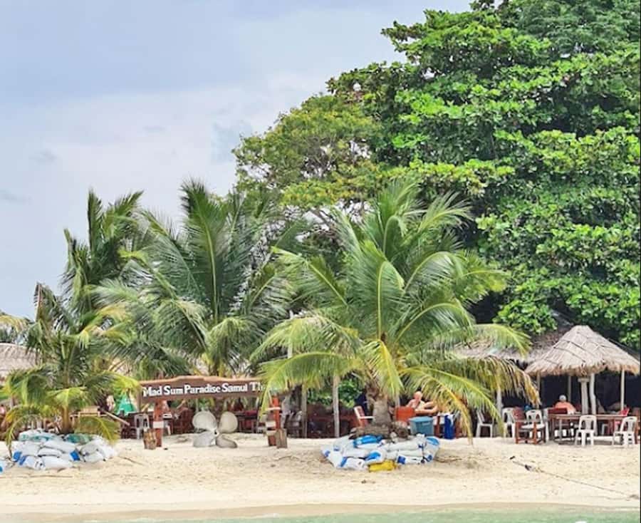 Ko Samui: Pig Island Snorkeling and Koh Tan Speedboat Tour - FAQ