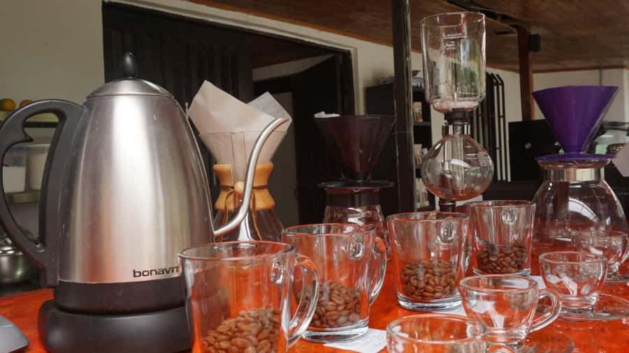 Salento: Coffee Master Roasting, Brewing and Tasting Tour - Salento: Coffee Master Roasting, Brewing and Tasting Tour