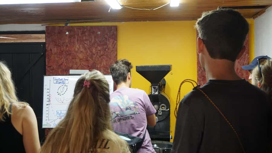 Salento: Coffee Master Roasting, Brewing and Tasting Tour - Key Points