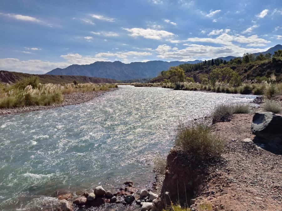 Flavors and wellness: wines, hot springs and gastronomy in Mendoza - An In-Depth Look at the Mendoza Flavors and Wellness Tour