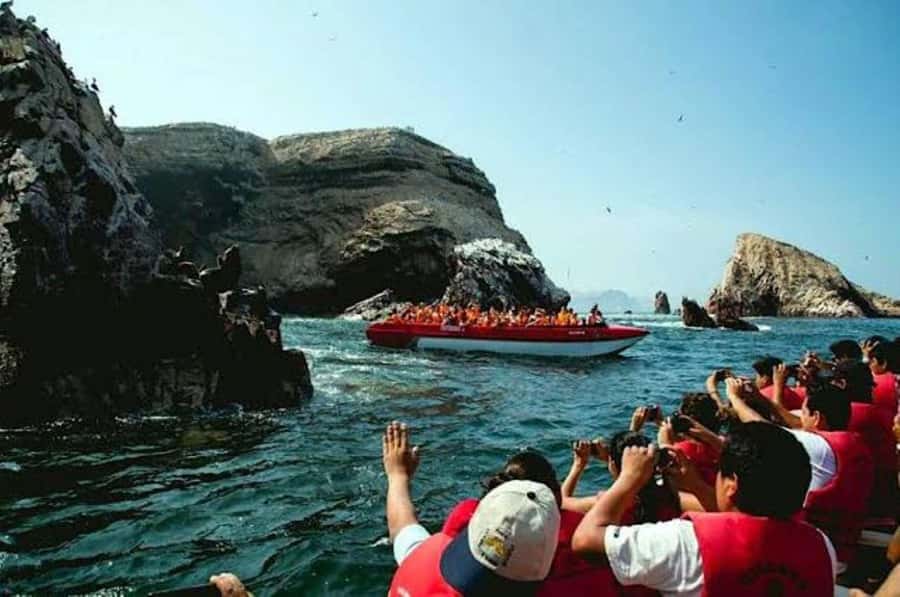 Paracas: Ballestas Islands and Paracas National Reserve Tour - Practical Details and Tips