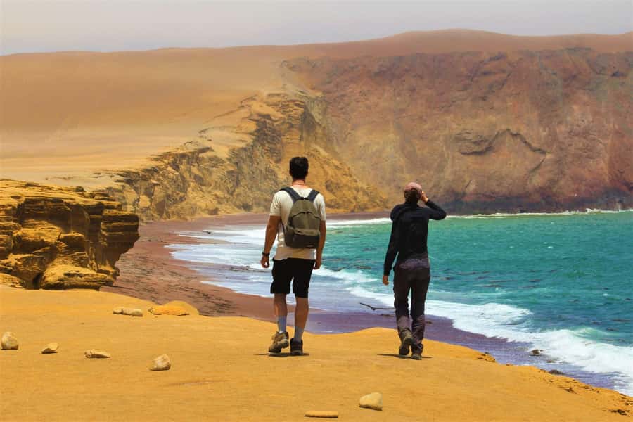 Paracas: Ballestas Islands and Paracas National Reserve Tour - FAQ