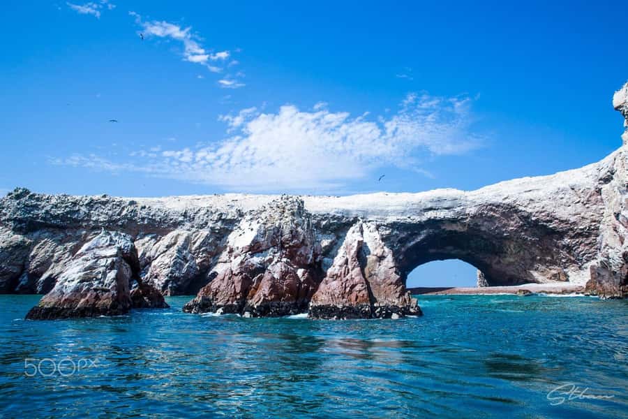 Paracas: Ballestas Islands and Paracas National Reserve Tour - Key Points