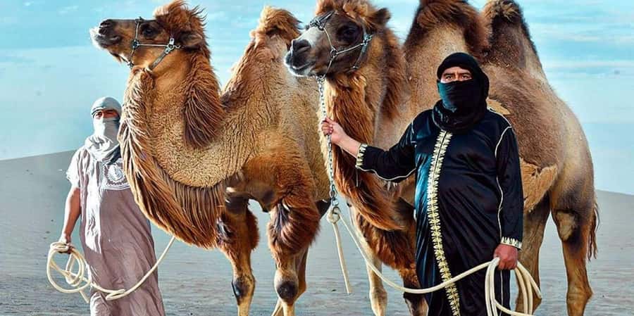 Peru: Camel Ride and Wine Tasting Experience - Key Points