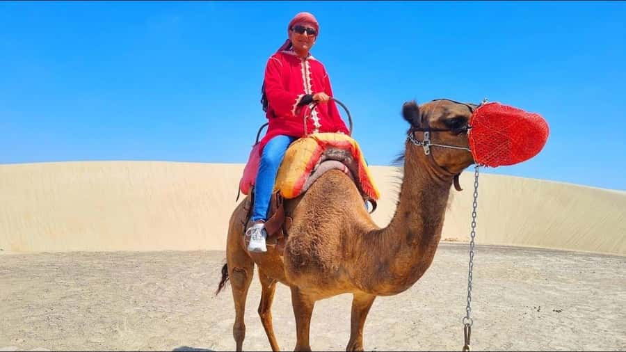 Peru: Camel Ride and Wine Tasting Experience - The Itinerary in Detail