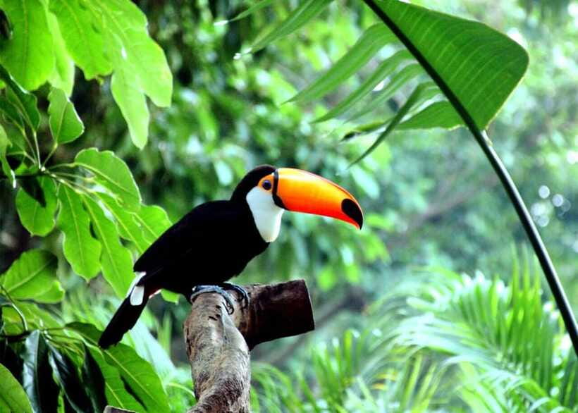 Guangzhou Popular Restaurant Reservation: Skip the Queue - Practical Tips for Travelers