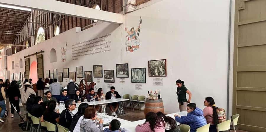 Ica: Vineyard Tour with Buggy Ride and Sandboarding - Key Points