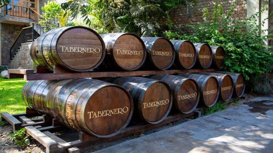 Ica: Vineyard Tour with Buggy Ride and Sandboarding - A Closer Look at the Itinerary