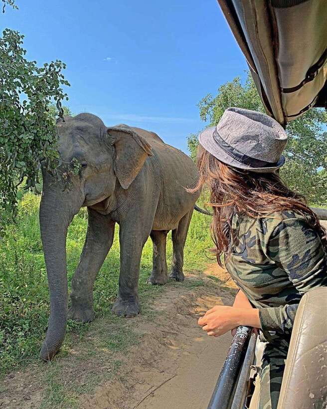 From Ella: Yala Safari with Tangalle/Mirissa/Galle Drop-off - The Drop-off Options: Relaxing at Sri Lanka’s Beaches