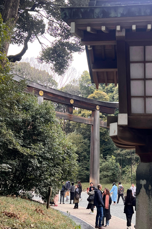 Tokyo Tour with Private Vehicle and English Speaking Guide - Authentic Traveler Insights