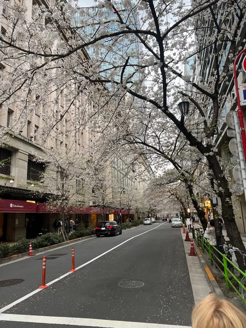 Tokyo Tour with Private Vehicle and English Speaking Guide - Cost and Value