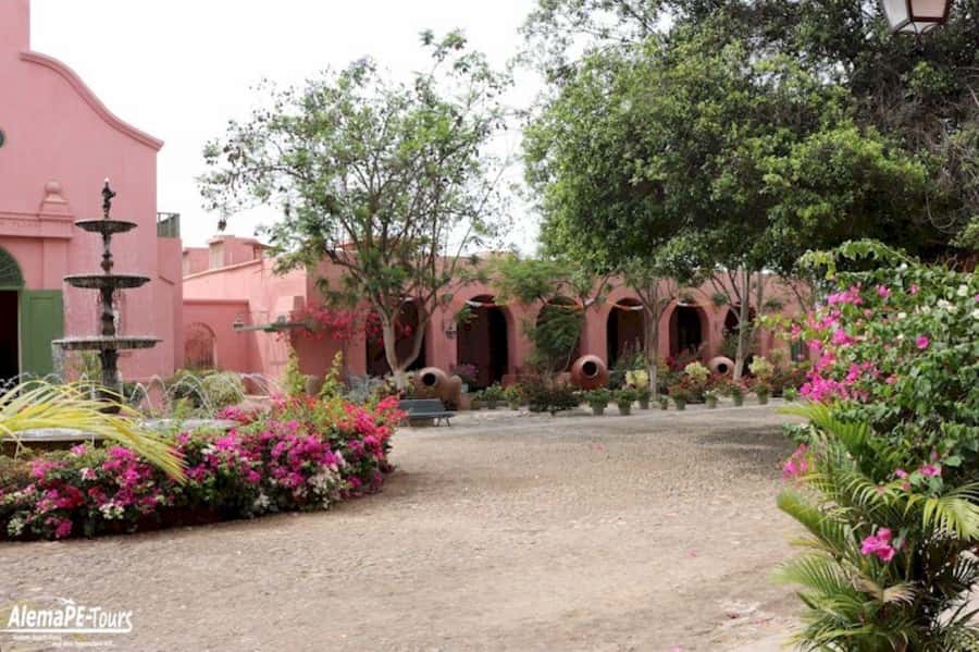 From Ica: Vineyard Tour with Buggy Ride and Sandboarding - An In-Depth Look at the Tour Experience