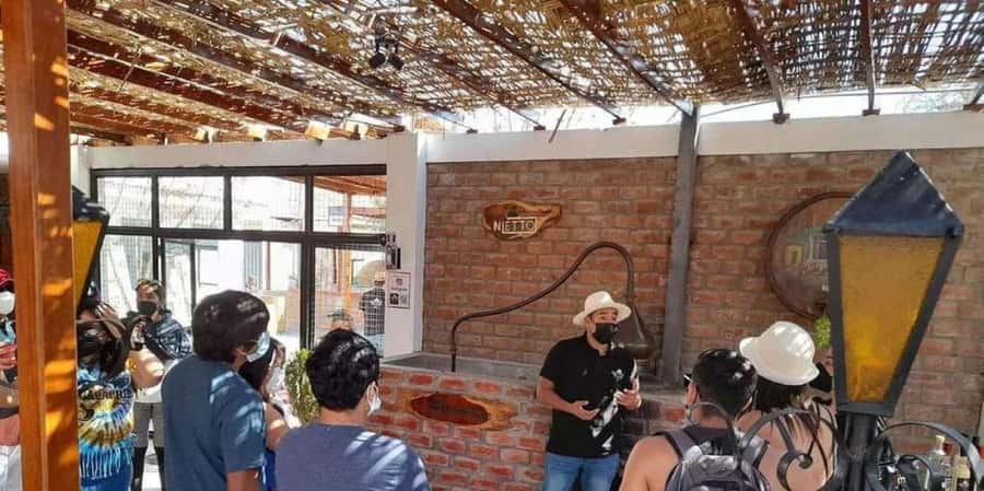 From Ica: Vineyard Tour with Buggy Ride and Sandboarding - Key Points