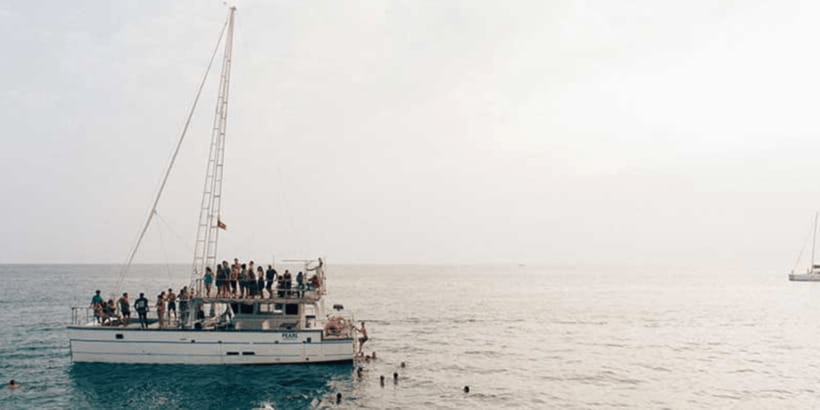 Exclusive: Whale and Dolphin Watching Tour with Transfers - The Sum Up