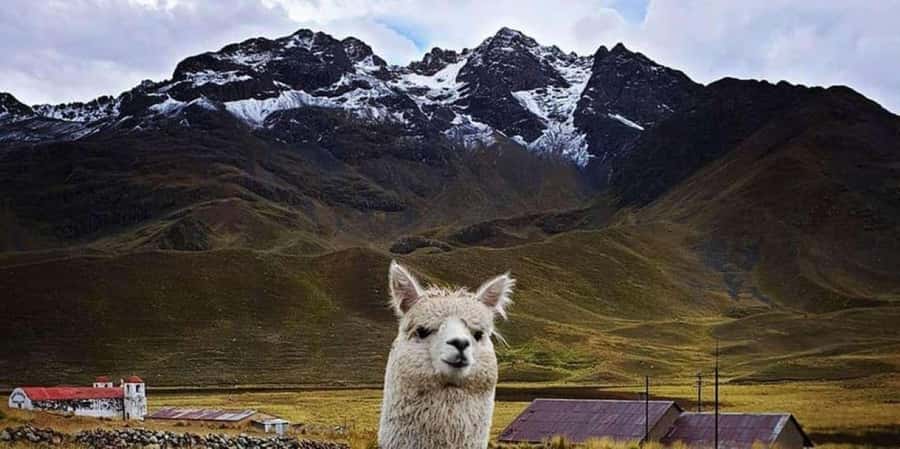 From Cusco: 2-Day Lake Titicaca, Uros, and Taquile Islands - Key Points