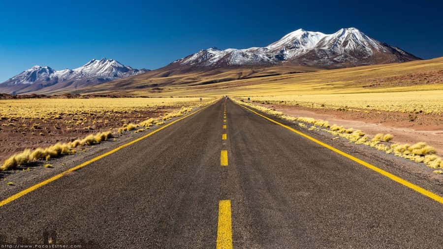 San Pedro de Atacama: Tatio Geysers Tour - An In-Depth Look at the San Pedro de Atacama: Tatio Geysers Tour