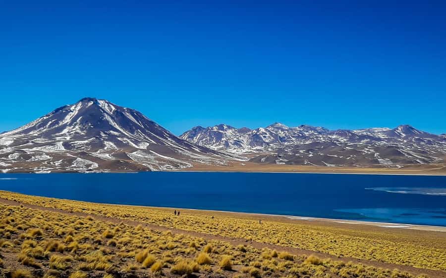 San Pedro de Atacama: Tatio Geysers Tour - Key Points