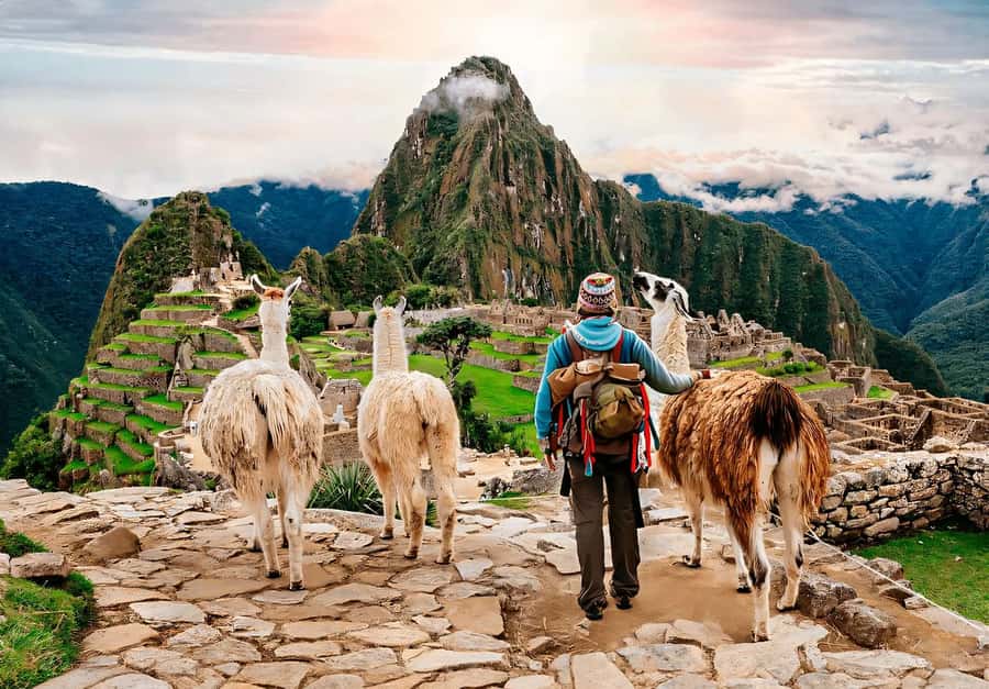 Cusco | Wonderful 7 Days Tour to Machu Picchu + 2 Star Hotel - Value and Practical Insights