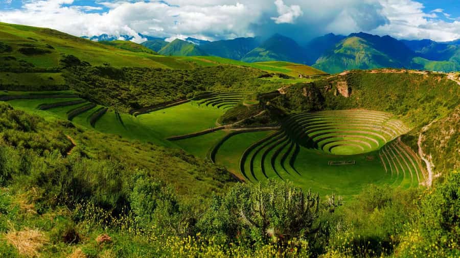 Cusco | Wonderful 7 Days Tour to Machu Picchu + 2 Star Hotel - FAQ