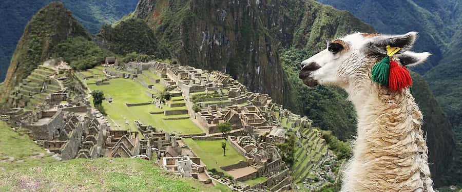 Cusco | Wonderful 7 Days Tour to Machu Picchu + 2 Star Hotel - Final Thoughts