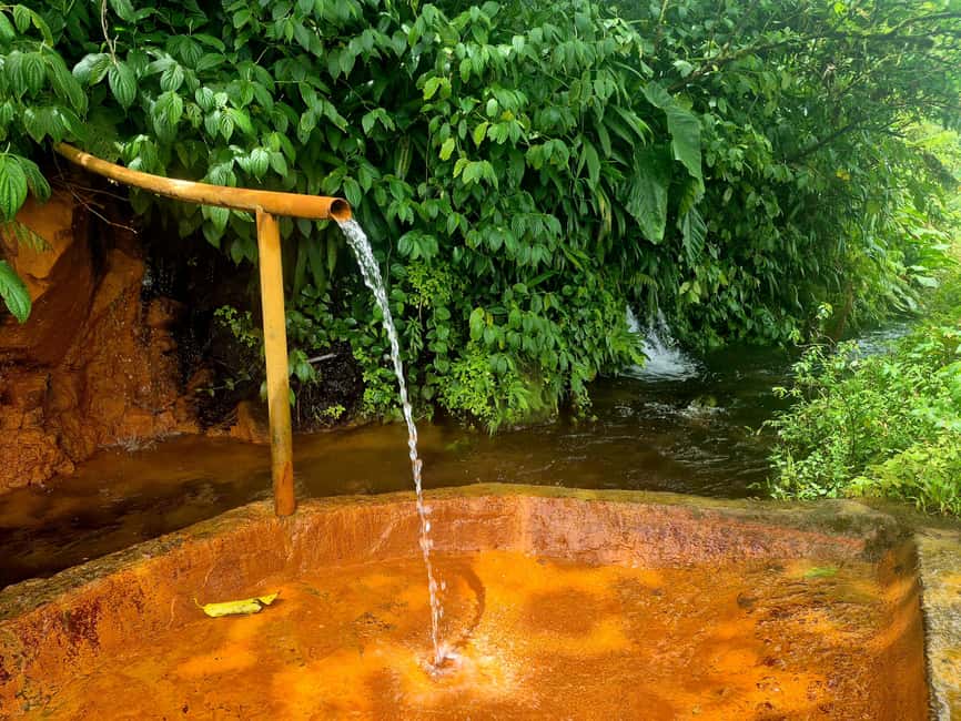 Dominica: Middleham Falls, Titou Gorge, and Trafalgar Falls - Trafalgar Falls: Dominica’s Iconic Waterfalls