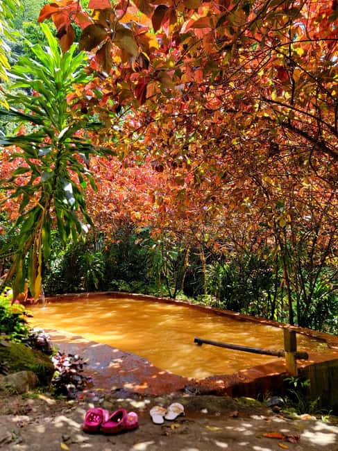 Dominica: Middleham Falls, Titou Gorge, and Trafalgar Falls - Middleham Falls: The Showstopper