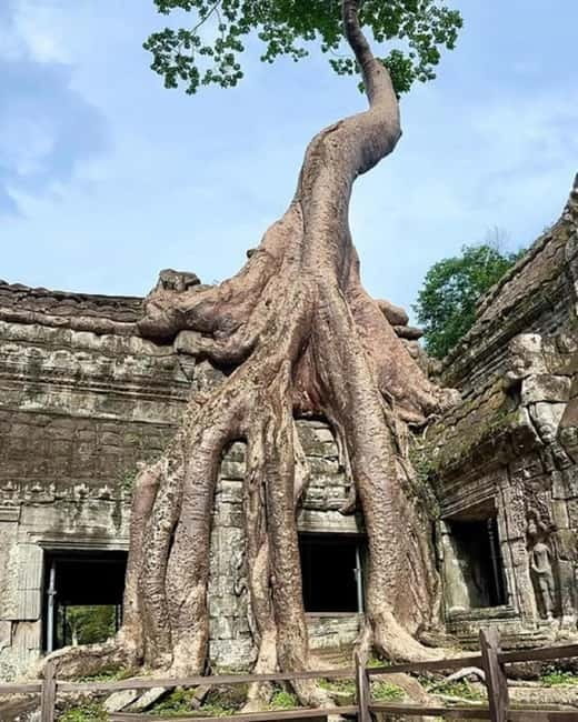 Siem Reap: 1-day group tour of Angkor with Spanish tour guide - A Deep Dive into Your Day at Angkor