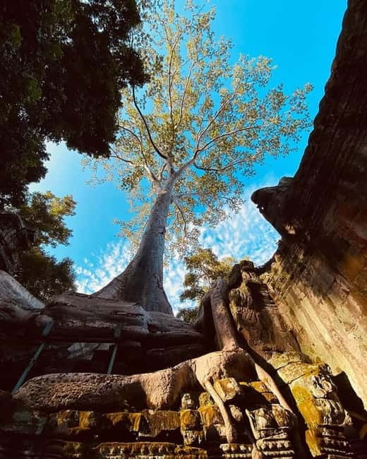 Siem Reap: 1-day group tour of Angkor with Spanish tour guide - FAQ