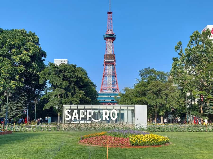 Sapporo: Private Full Day City and Cultural Tour with Guide - Who Will Love This Tour?