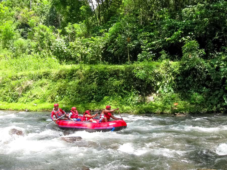 Bali: Telaga Waja White Water River Guided Rafting & Lunch - Why This Tour Offers Great Value