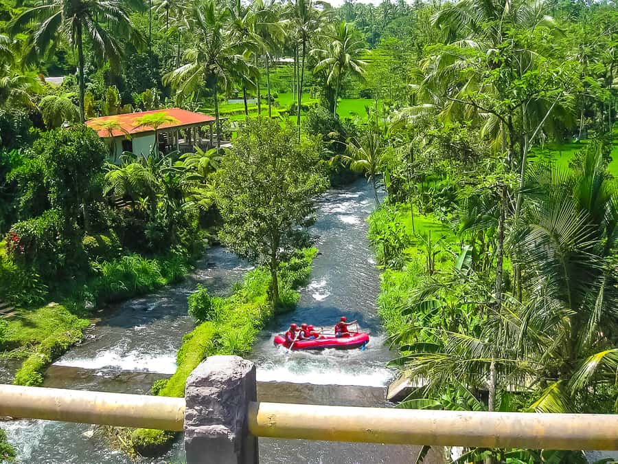Bali: Telaga Waja White Water River Guided Rafting & Lunch - Accessibility and Practical Tips