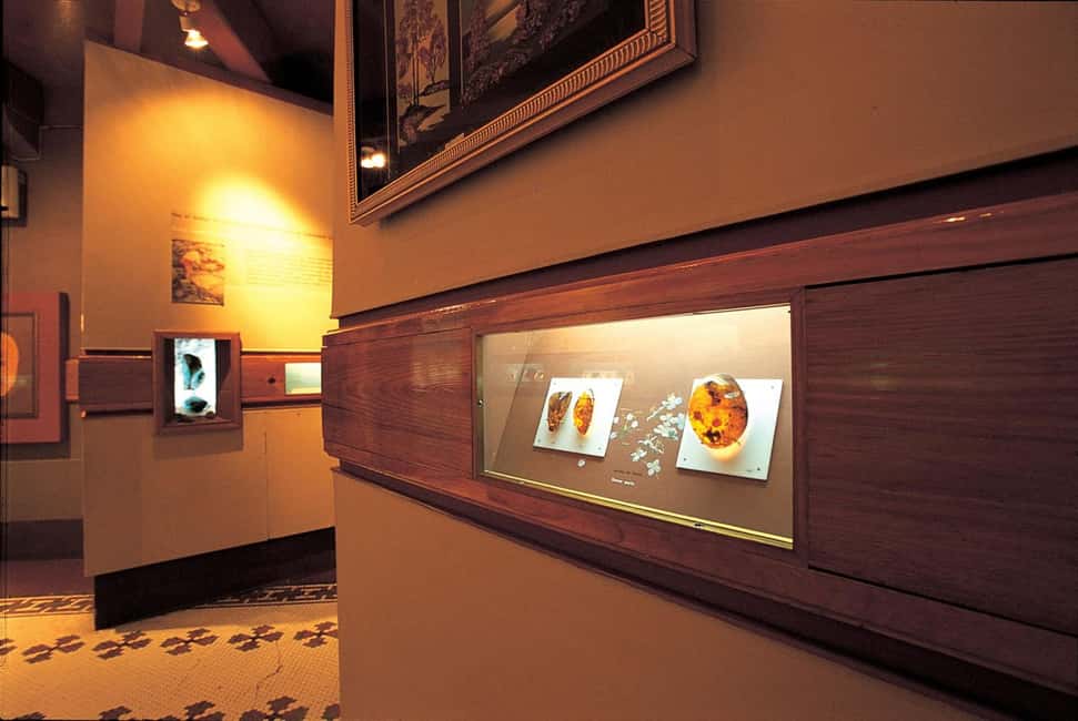 Half Day Cultura Tour of the City of Special for Cruise Ship - FAQ: Common Questions About the Tour