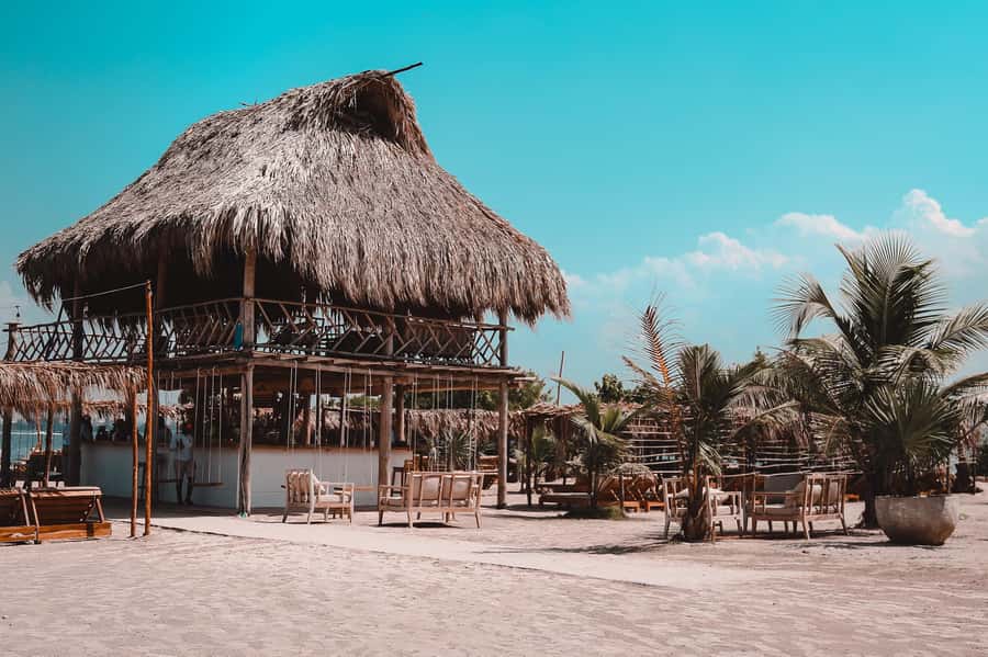 Cartagena: Tierra Bomba Island Beach Day Trip - A Deep Dive into the Tierra Bomba Island Beach Day Trip