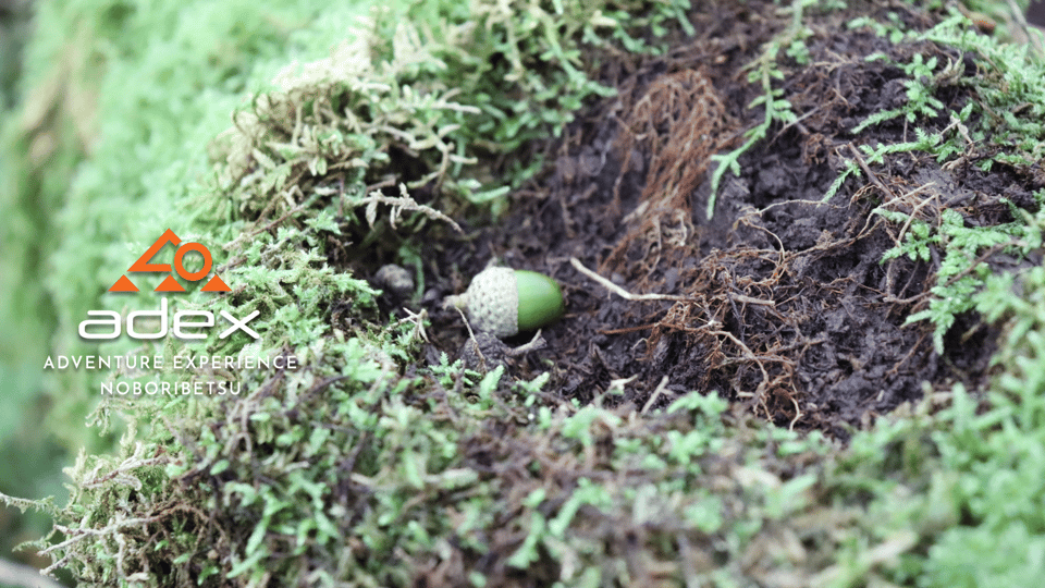 Volcano Hike with Pacific and Kuttara Lake Views - FAQ