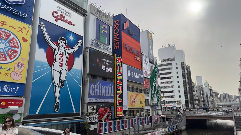 Osaka City Highlights One Day Private Tour - A Moment to Appreciate: What to Expect at Each Stop