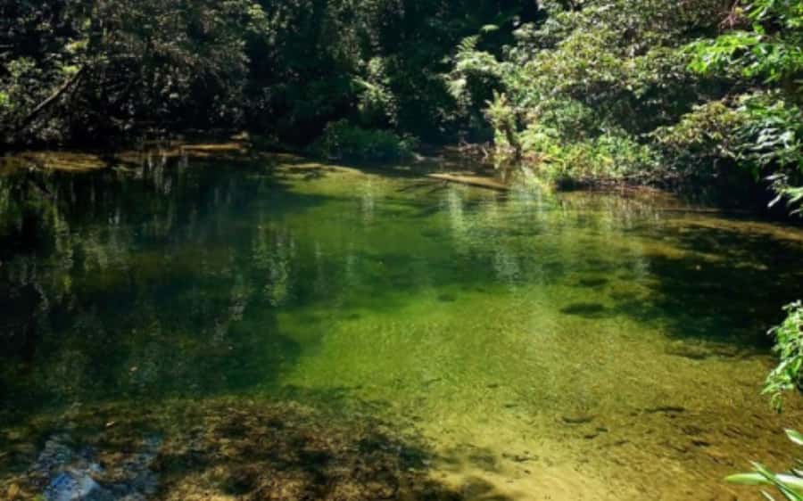 Santos: Guided Kayak Tour in the Heart of the State Park - Final Thoughts: Who Should Consider This Tour?