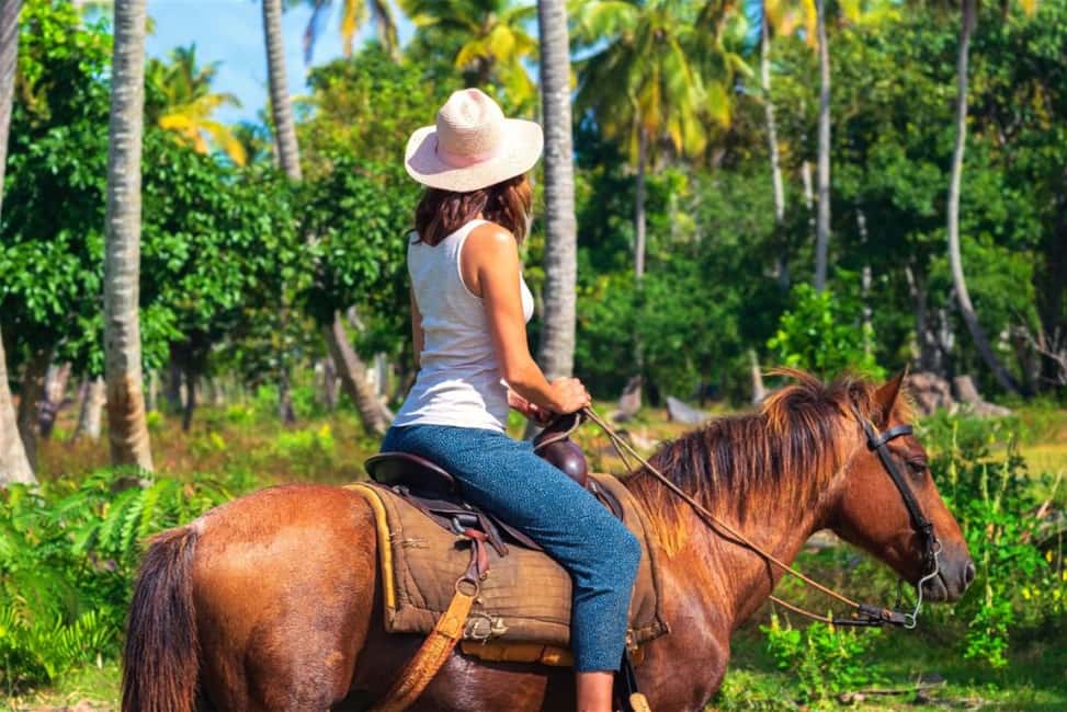 Samana: HorseRiding, Boat Tour in Los Haitises + Cano Hondo - Pricing & Value
