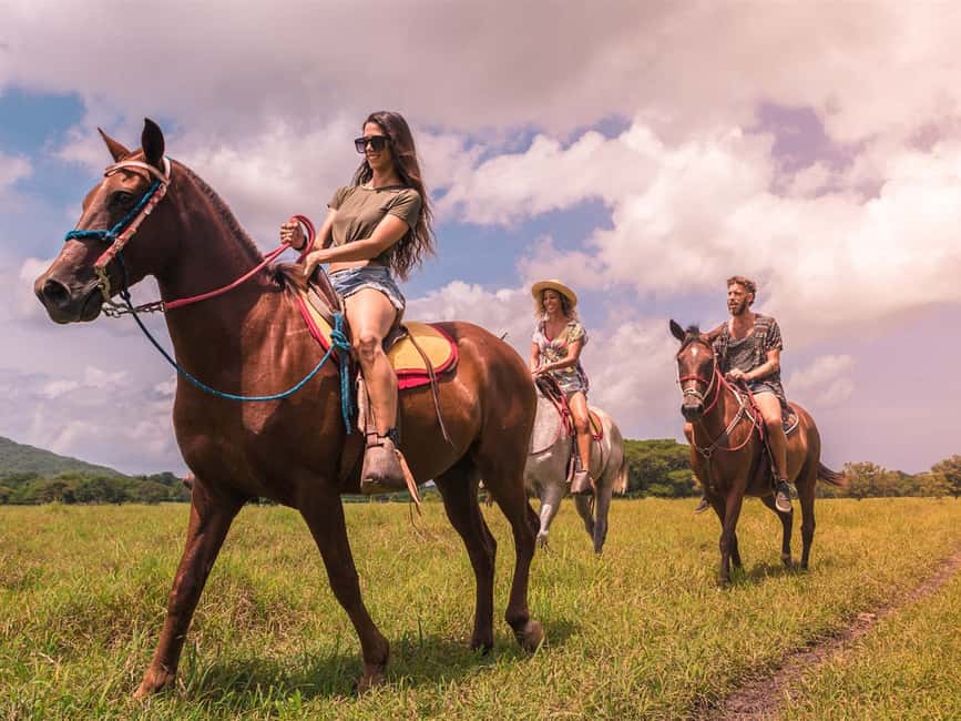 Samana: HorseRiding, Boat Tour in Los Haitises + Cano Hondo - Who Will Love This Tour?