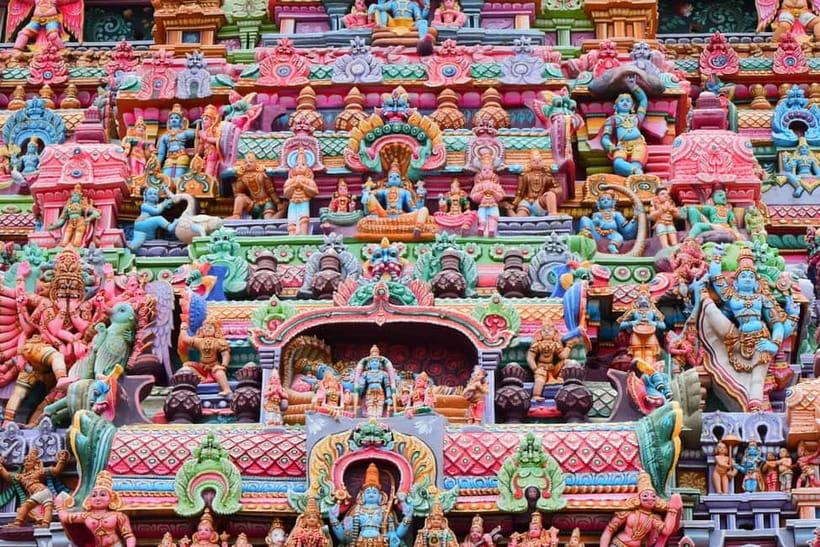 Wilpattu leopard safari and free jeep with guide included. - A Detailed Look at Wilpattu Safari: What to Expect