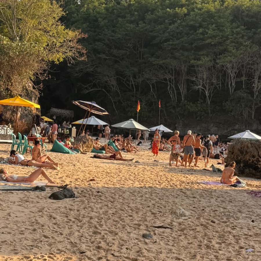 sunset and diner trip - Sunset and Seafood Dinner