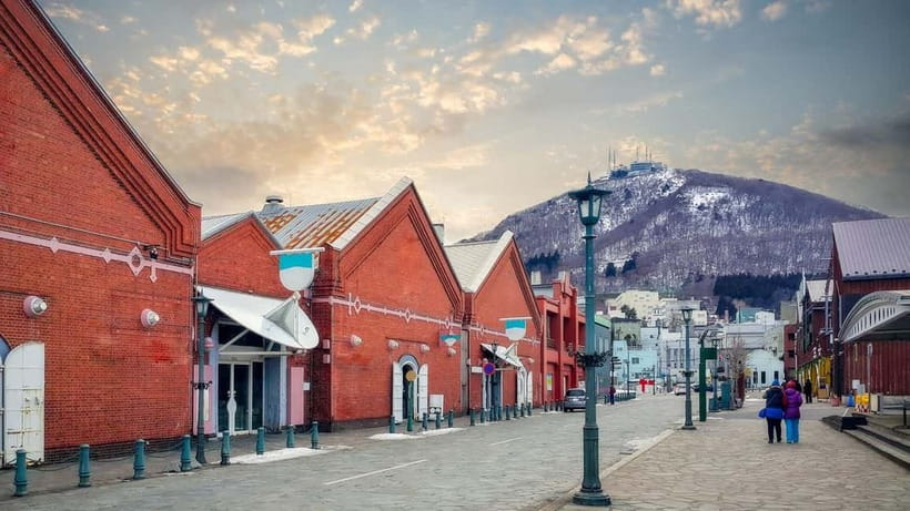 Hakodate Highlights Tour 4 Hours - Who Will Love This Tour?